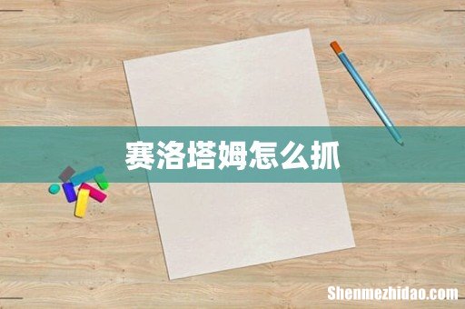 赛洛塔姆怎么抓