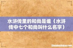 水浒传中七个和尚叫什么名字 水浒传里的和尚是谁
