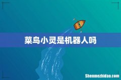 菜鸟小灵是机器人吗
