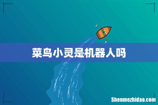 菜鸟小灵是机器人吗