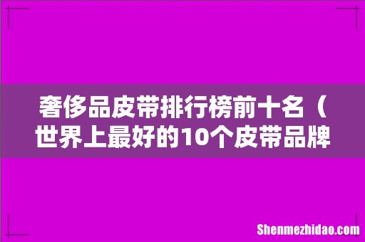 世界上最好的10个皮带品牌 奢侈品皮带排行榜前十名