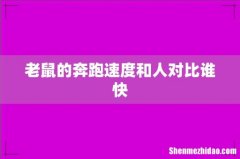 老鼠的奔跑速度和人对比谁快