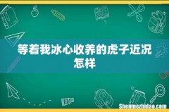 等着我冰心收养的虎子近况怎样