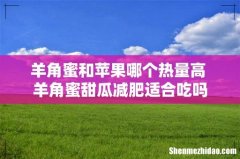 羊角蜜和苹果哪个热量高 羊角蜜甜瓜减肥适合吃吗
