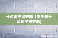 什么兔子最好养（学生养什么兔子最好养)