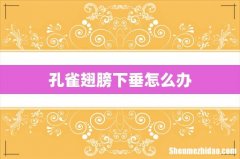 孔雀翅膀下垂怎么办