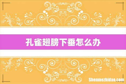 孔雀翅膀下垂怎么办