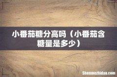 小番茄含糖量是多少 小番茄糖分高吗