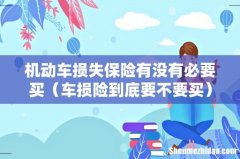 车损险到底要不要买 机动车损失保险有没有必要买