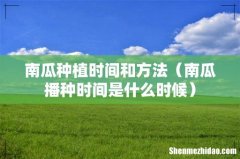 南瓜播种时间是什么时候 南瓜种植时间和方法