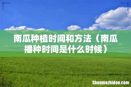 南瓜播种时间是什么时候 南瓜种植时间和方法