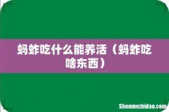 蚂蚱吃啥东西 蚂蚱吃什么能养活