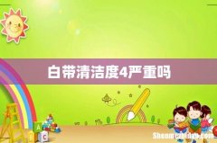 白带清洁度4严重吗