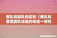 南乳和普通腐乳味道的味道一样吗 南乳和腐乳的区别