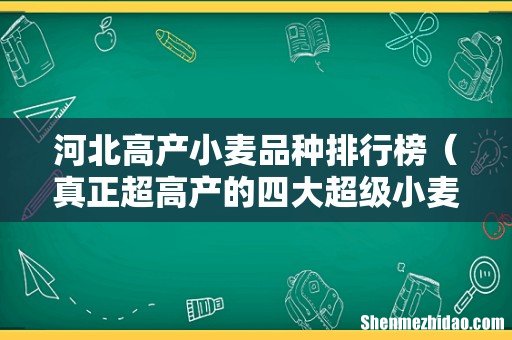 真正超高产的四大超级小麦 河北高产小麦品种排行榜