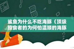 顶级掠食者的为何怕温顺的海豚 鲨鱼为什么不吃海豚