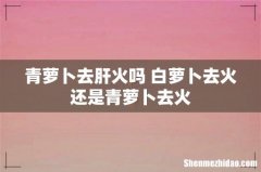 青萝卜去肝火吗 白萝卜去火还是青萝卜去火