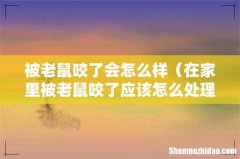 在家里被老鼠咬了应该怎么处理 被老鼠咬了会怎么样