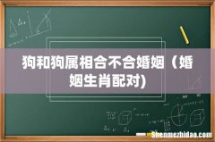 狗和狗属相合不合婚姻（婚姻生肖配对)