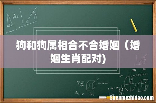 狗和狗属相合不合婚姻(婚姻生肖配对)