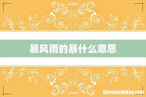 暴风雨的暴什么意思