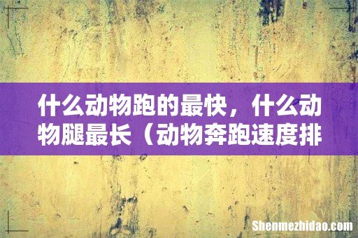 动物奔跑速度排行 什么动物跑的最快,什么动物腿最长