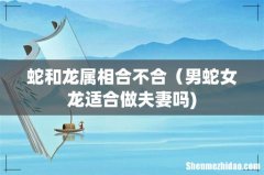 蛇和龙属相合不合（男蛇女龙适合做夫妻吗)