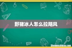 野猪冰人怎么拉飓风