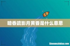 暗香疏影月黄昏是什么意思