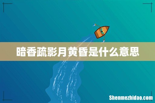 暗香疏影月黄昏是什么意思