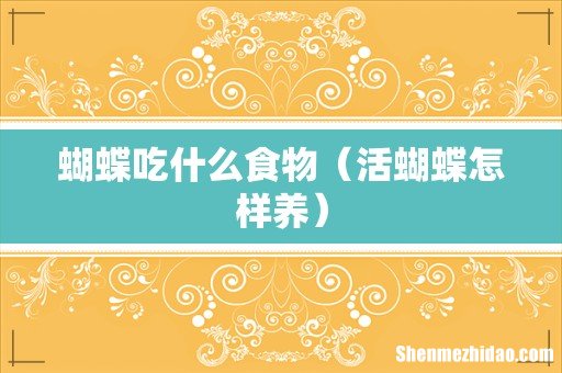 活蝴蝶怎样养 蝴蝶吃什么食物