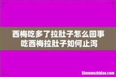 西梅吃多了拉肚子怎么回事 吃西梅拉肚子如何止泻