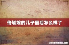 佟毓婉的儿子最后怎么样了