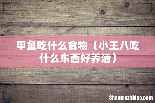 小王八吃什么东西好养活 甲鱼吃什么食物
