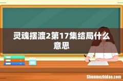 灵魂摆渡2第17集结局什么意思
