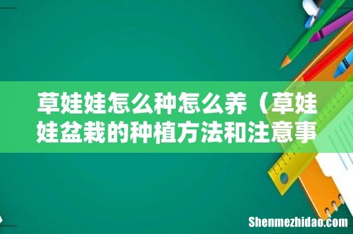 草娃娃盆栽的种植方法和注意事项 草娃娃怎么种怎么养