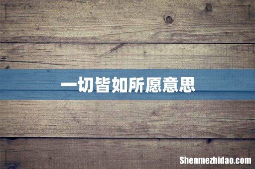 一切皆如所愿意思