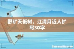 野旷天低树，江清月近人扩写30字