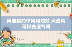 风油精的作用和功效 风油精可以去湿气吗