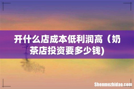 开什么店成本低利润高(奶茶店投资要多少钱)