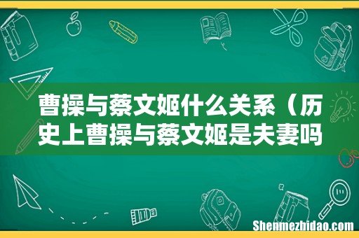 历史上曹操与蔡文姬是夫妻吗 曹操与蔡文姬什么关系