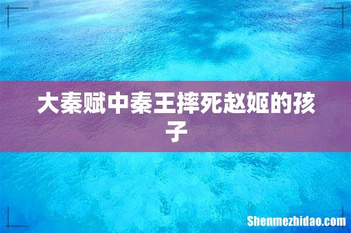 大秦赋中秦王摔死赵姬的孩子