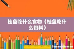 桂鱼吃什么饵料 桂鱼吃什么食物