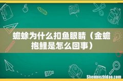 金蟾抱鲤是怎么回事 蟾蜍为什么扣鱼眼睛