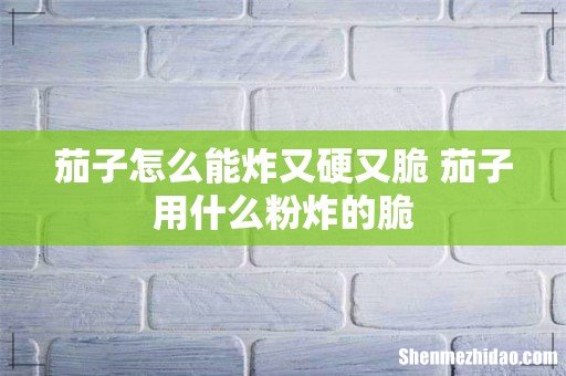 茄子怎么能炸又硬又脆 茄子用什么粉炸的脆