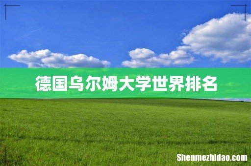 德国乌尔姆大学世界排名