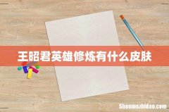 王昭君英雄修炼有什么皮肤