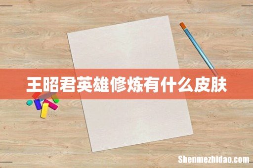 王昭君英雄修炼有什么皮肤