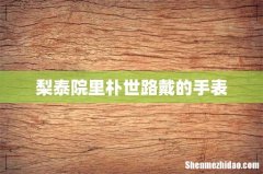梨泰院里朴世路戴的手表