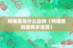 鸭嘴兽到底有多诡异 鸭嘴兽是什么动物